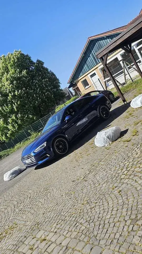 Gebraucht Audi A5 Sportback Black Edition 190 PS (139 kW) 2018 Blau Kleinwagen