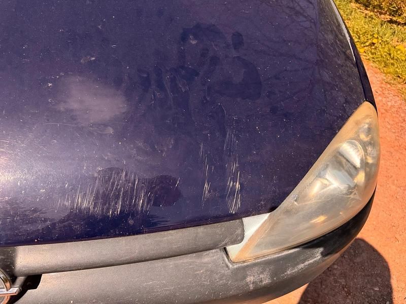 Gebraucht Opel Combo 101 PS (74 kW) 2009 Weiß Pickup