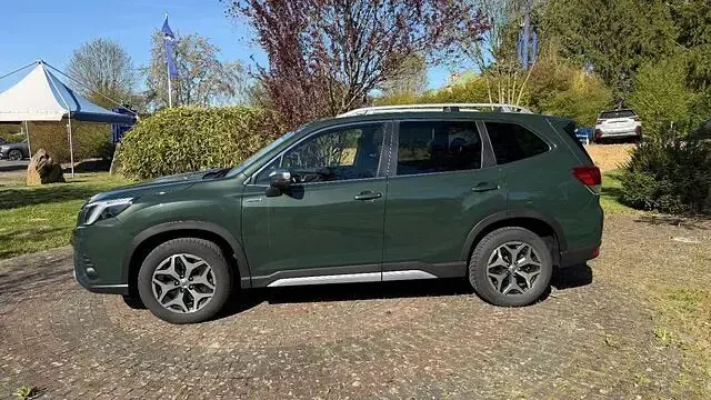 Occasion Subaru Forester Active 150 ch (110 kW) 2023 Vert SUV