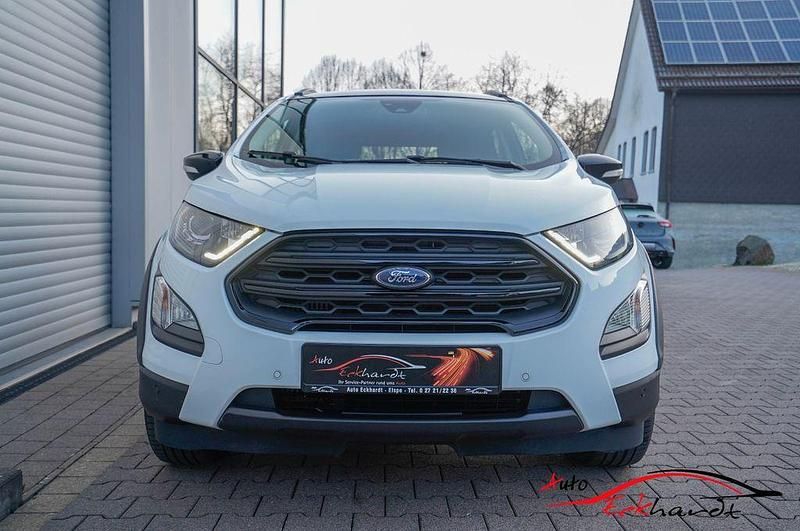 Gebraucht Ford Ecosport Active 125 PS (91 kW) 2023 Weiß SUV