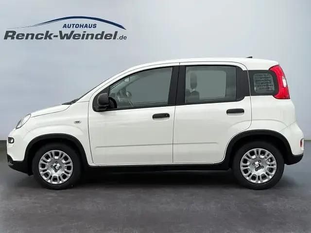 Weiss Gebraucht 2024 Fiat Panda Cross Kleinwagen | 15.789 € (Teuer) - Bild 1/4