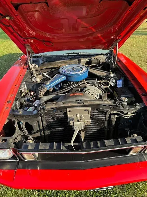 Gebraucht Ford Mustang 241 PS (177 kW) 1973 Rot Cabrio