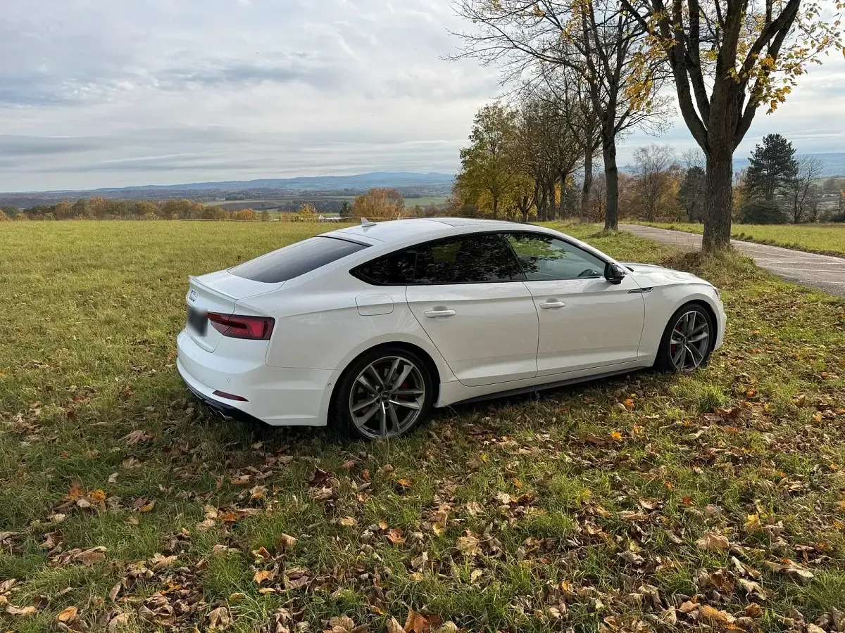 Brugt Audi S5 Ambiente 354 HK (260 kW) 2018 Hvid Coupe