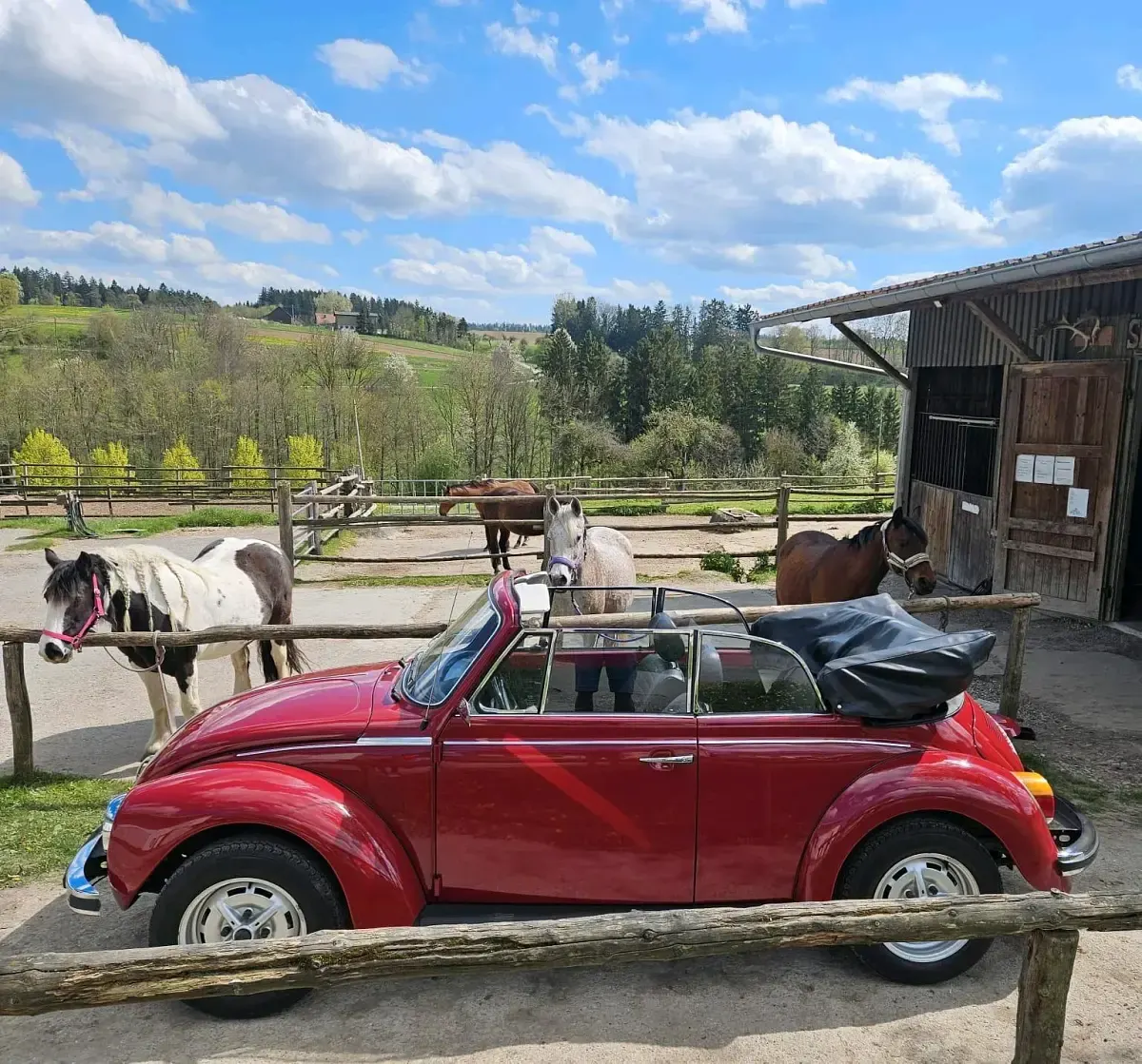 Gebraucht VW Käfer 50 PS (36 kW) 1973 Rot Cabrio