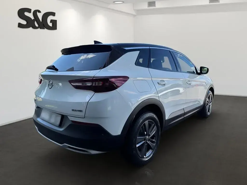 Gebraucht Opel Grandland X 131 PS (96 kW) 2020 Weiß SUV