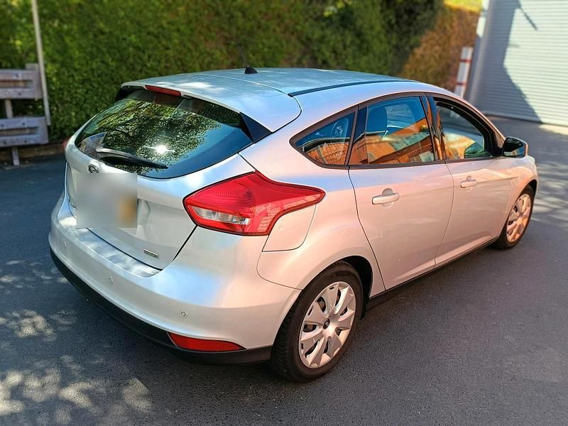 Usata Ford Focus 100 CV (73 kW) 2015 Argento Berlina