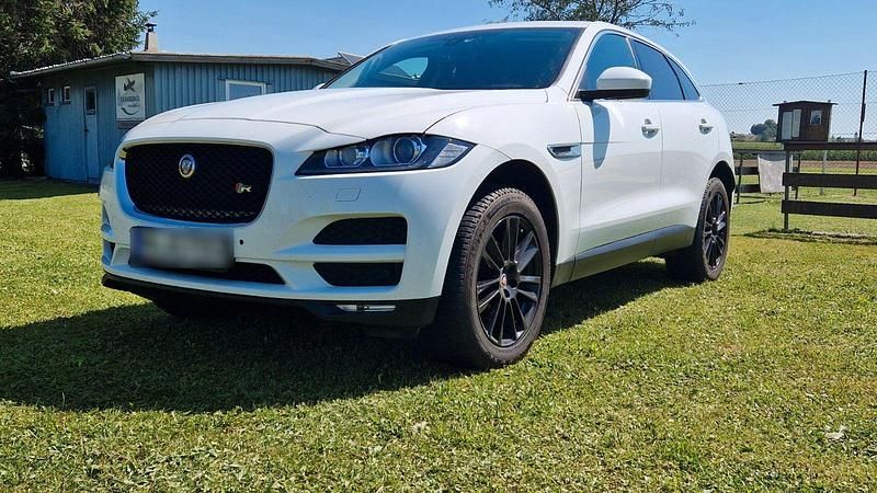 Weiß Gebraucht 2017 Jaguar F-Pace R-Sport SUV | 16.200 € (Etwas zu teuer) - Bild 1/4