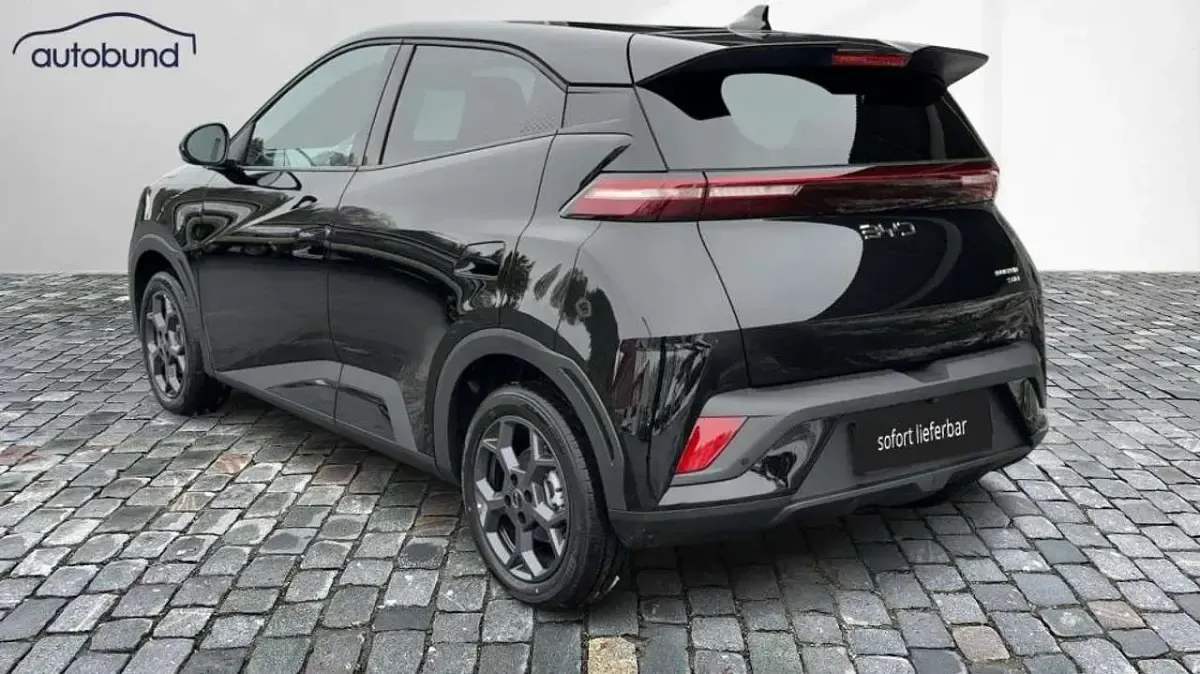 Neu BYD Dolphin Surf Comfort 114 kW (156 PS) 2026 Schwarz Kleinwagen