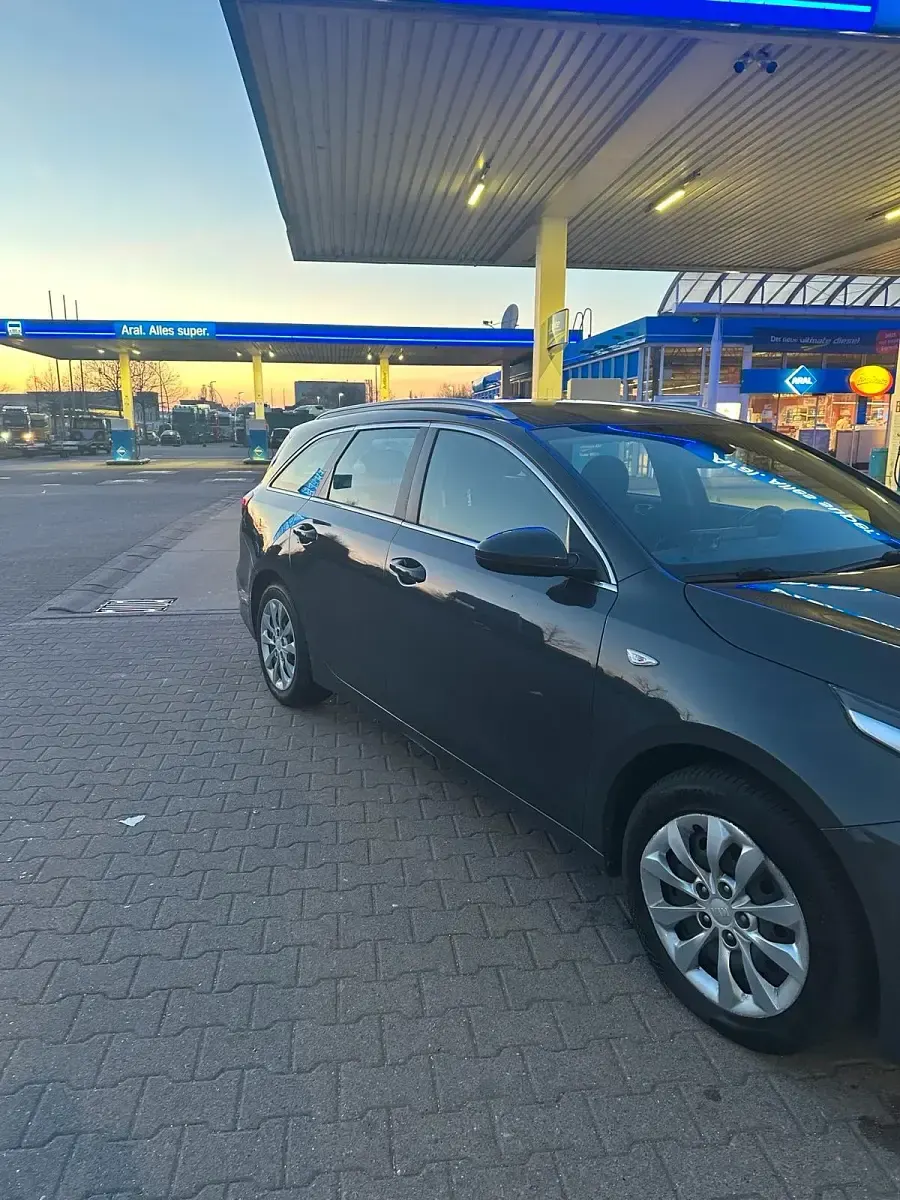 Gebraucht Kia Ceed 120 PS (88 kW) 2019 Blau Kleinwagen