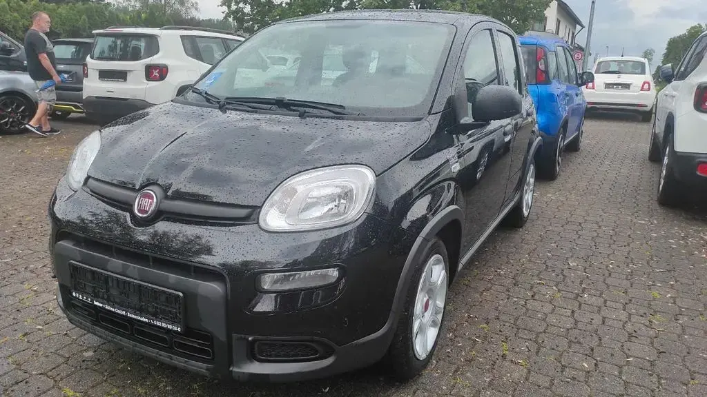 Gebraucht Fiat Panda 69 PS (50 kW) 2024 Schwarz Kleinwagen