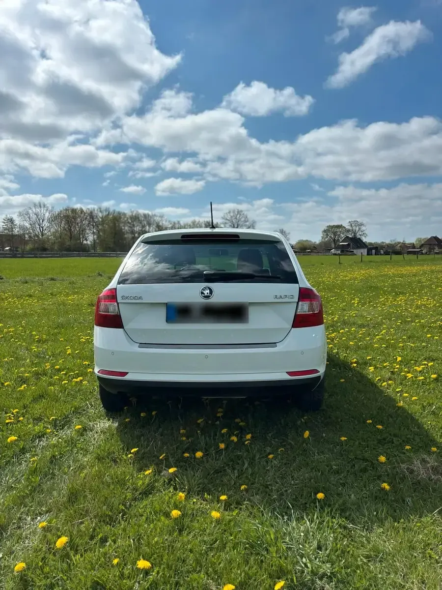 Gebraucht Skoda Rapid Style 116 PS (85 kW) 2015 Weiß Kleinwagen