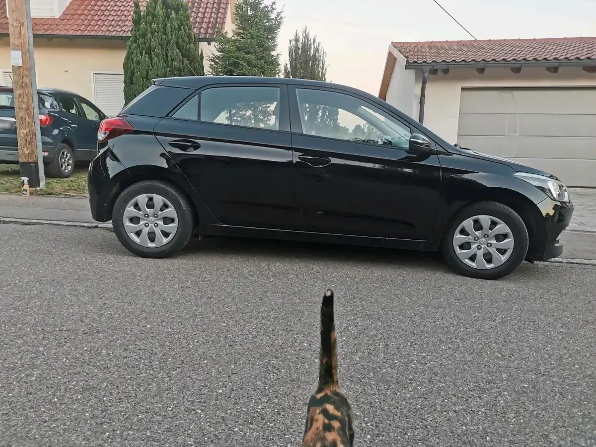 Gebraucht Hyundai i20 Active 84 PS (61 kW) 2017 Schwarz Kleinwagen
