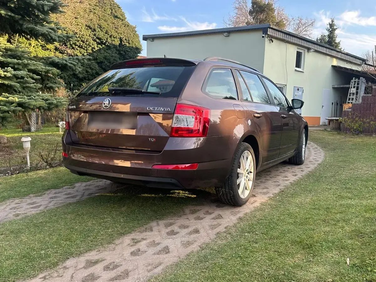 Gebraucht Skoda Octavia Ambition 150 PS (110 kW) 2013 Braun Kombi