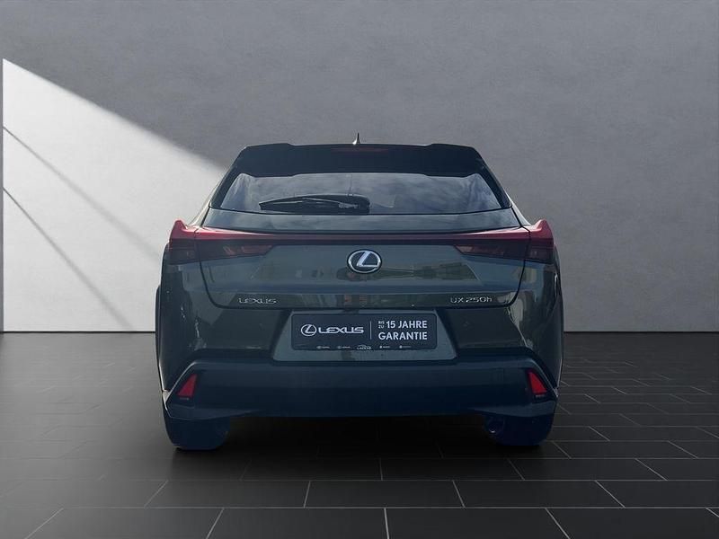 Gebraucht Lexus UX 250h 184 PS (135 kW) 2023 Terrane khaki SUV