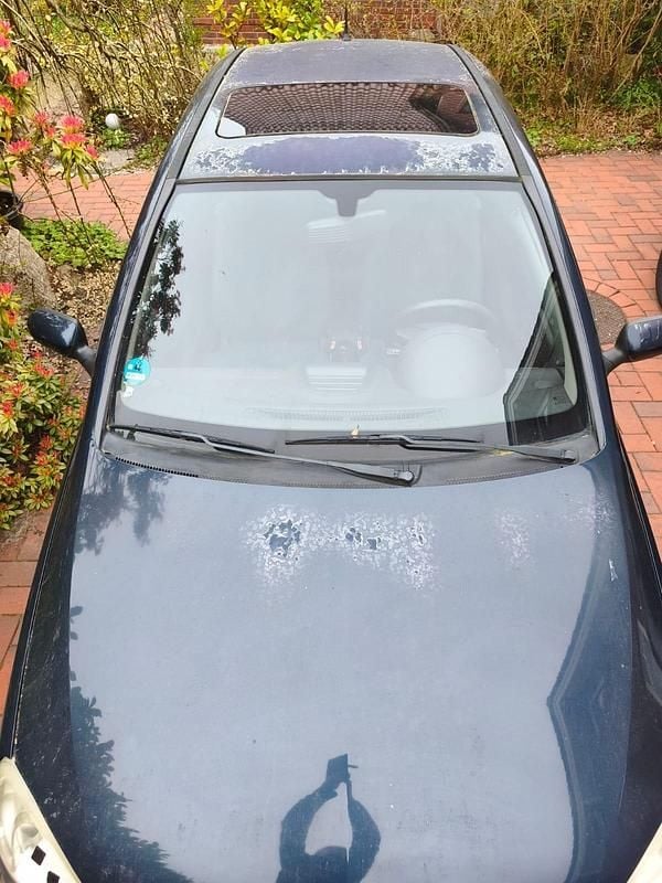 Gebraucht Opel Corsa 75 PS (55 kW) 2001 Blau Kleinwagen