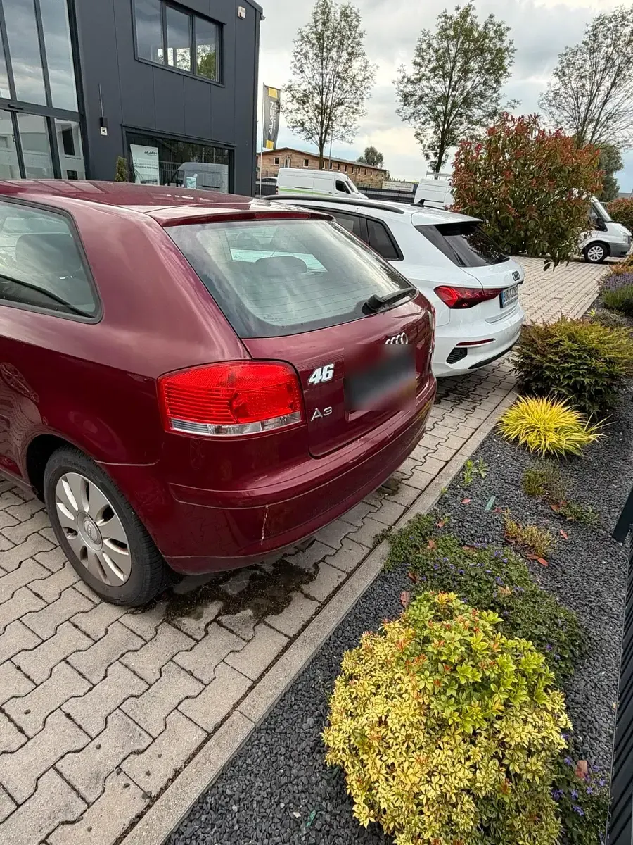 Gebraucht Audi A3 105 PS (77 kW) 2005 Rot Kleinwagen