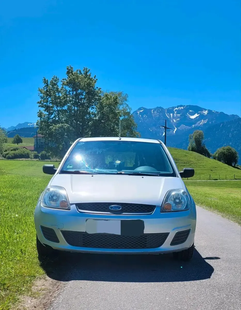 Gebraucht Ford Fiesta 69 PS (50 kW) 2007 Grau Kleinwagen