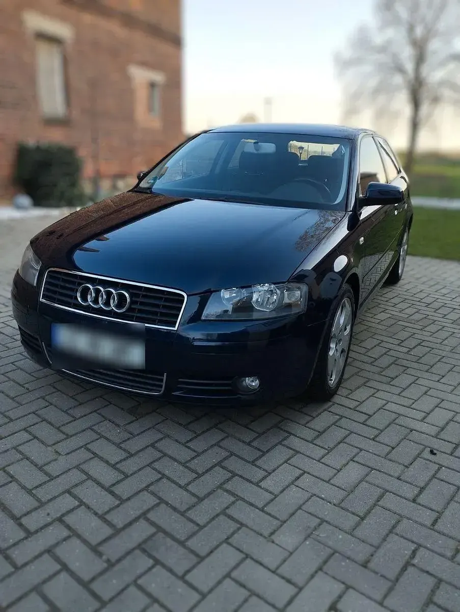 Brugt Audi A3 Ambition 102 HK (75 kW) 2004 Blå Hatchback