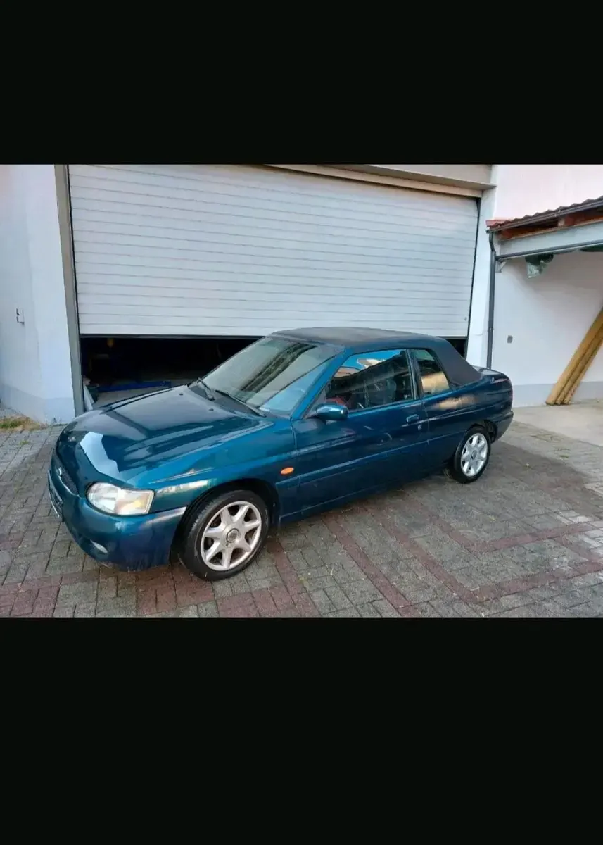 Gebraucht Ford Escort Cabriolet 115 PS (84 kW) 1995 Grün Cabrio