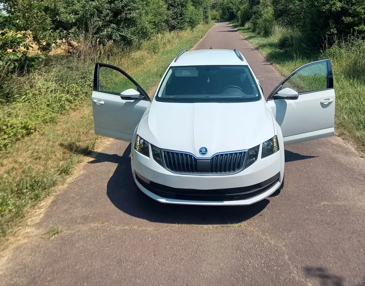 Gebraucht Skoda Octavia 150 PS (110 kW) 2018 Weiß Kombi