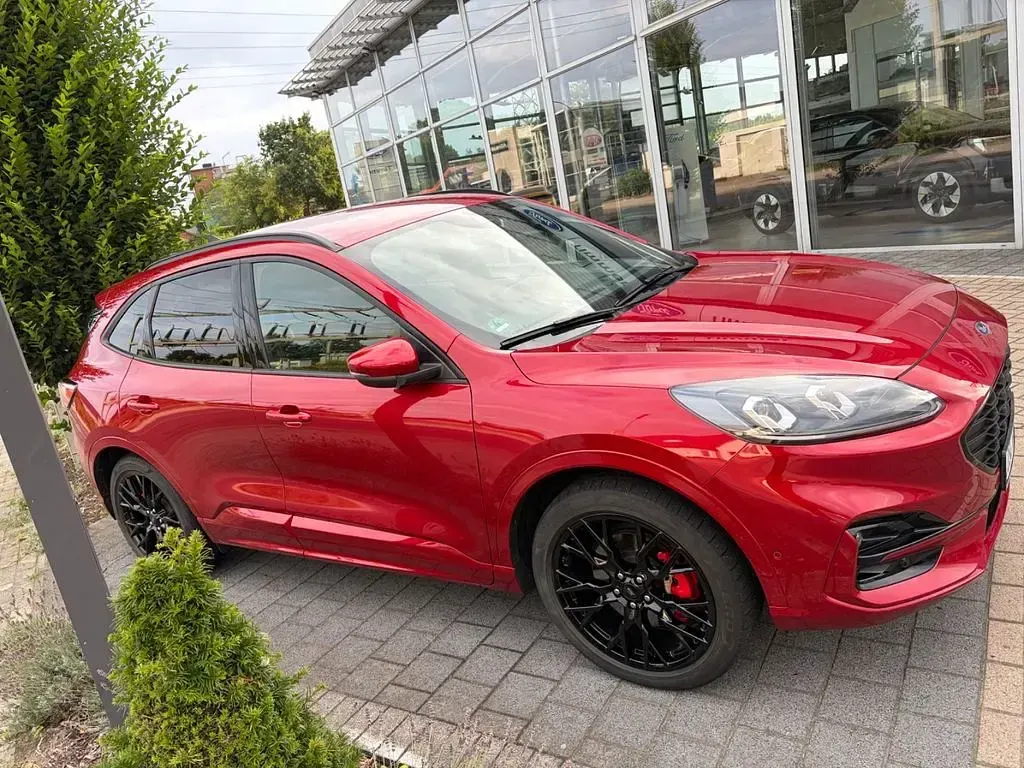 Gebraucht Ford Kuga ST-Line X 224 PS (164 kW) 2021 Rot SUV