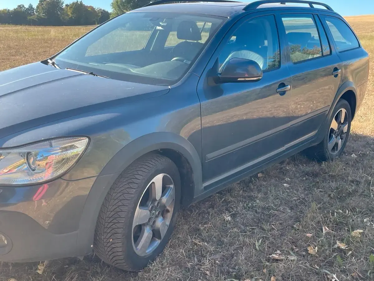 Gebraucht Skoda Octavia Scout Scout 4x4 160 PS (117 kW) 2011 Grau Kombi
