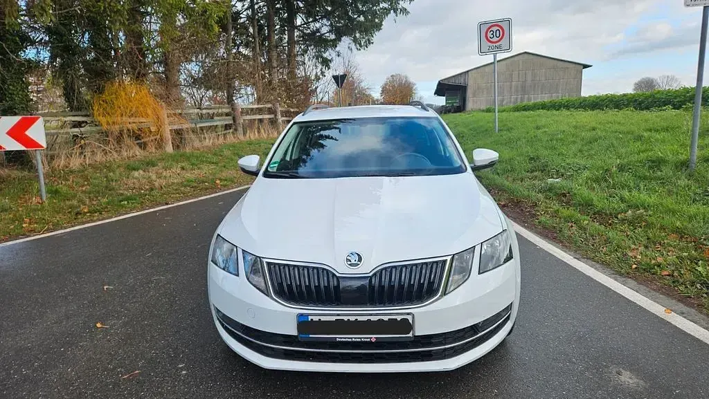 Gebraucht Skoda Octavia Style 150 PS (110 kW) 2019 Weiß Kombi