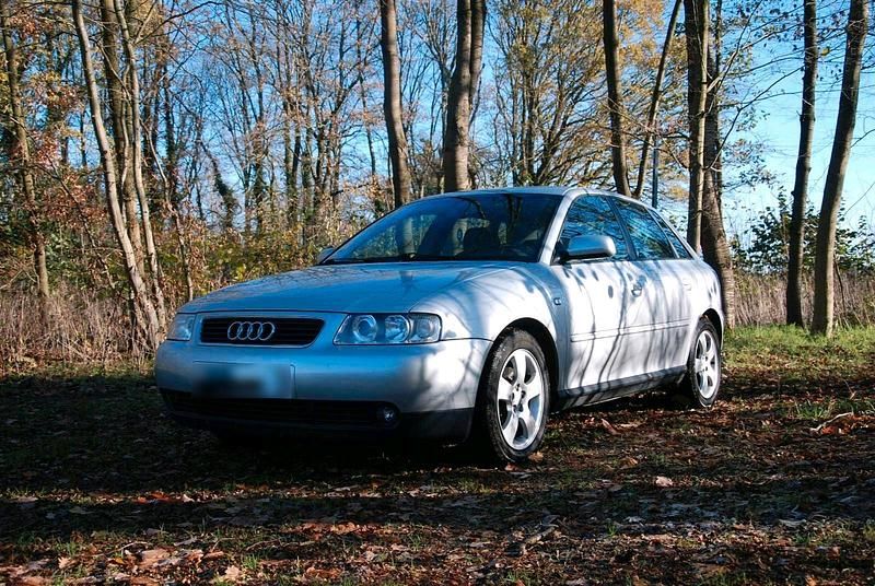Gebraucht Audi A3 Basis 125 PS (91 kW) 2002 Silber Kleinwagen