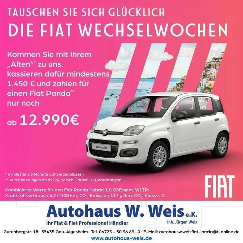 601 Neu 2024 Fiat Panda Kleinwagen | 14.440 € (Fairer Preis) - Bild 1/4