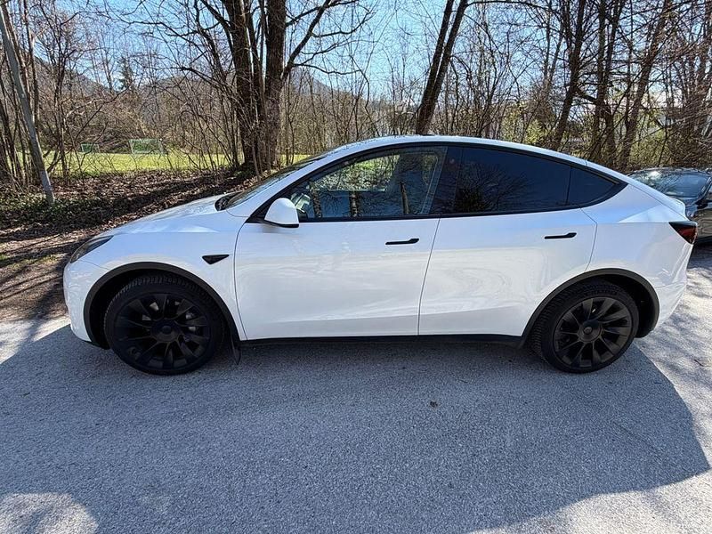 Gebraucht Tesla Model Y Long Range AWD 274 kW (373 PS) 2021 Weiß SUV
