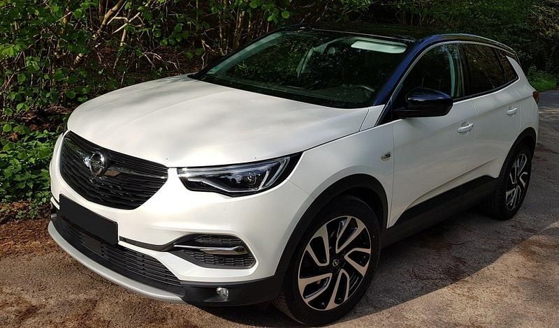 Weiß Gebraucht 2019 Opel Grandland X Ultimate SUV | 18.750 € (Etwas zu teuer) - Bild 1/4