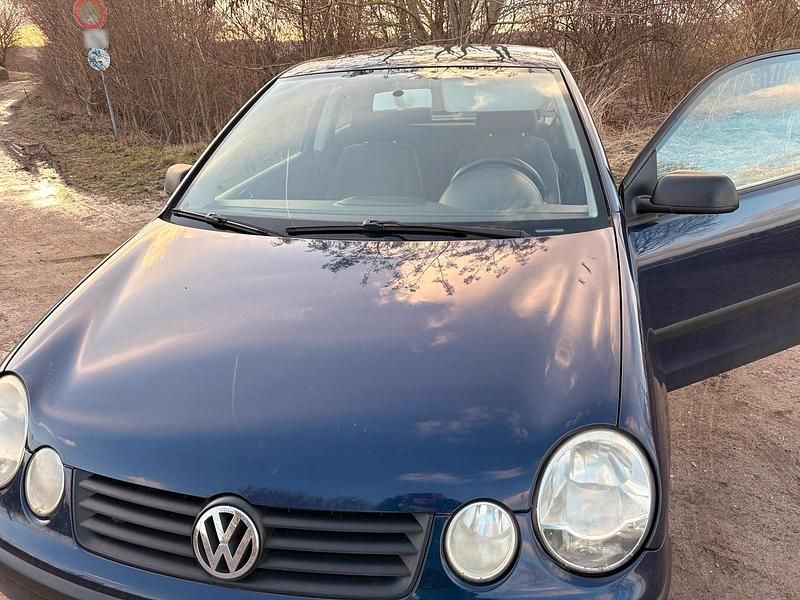 Gebraucht VW Polo Basis 54 PS (39 kW) 2003 Blau Kleinwagen
