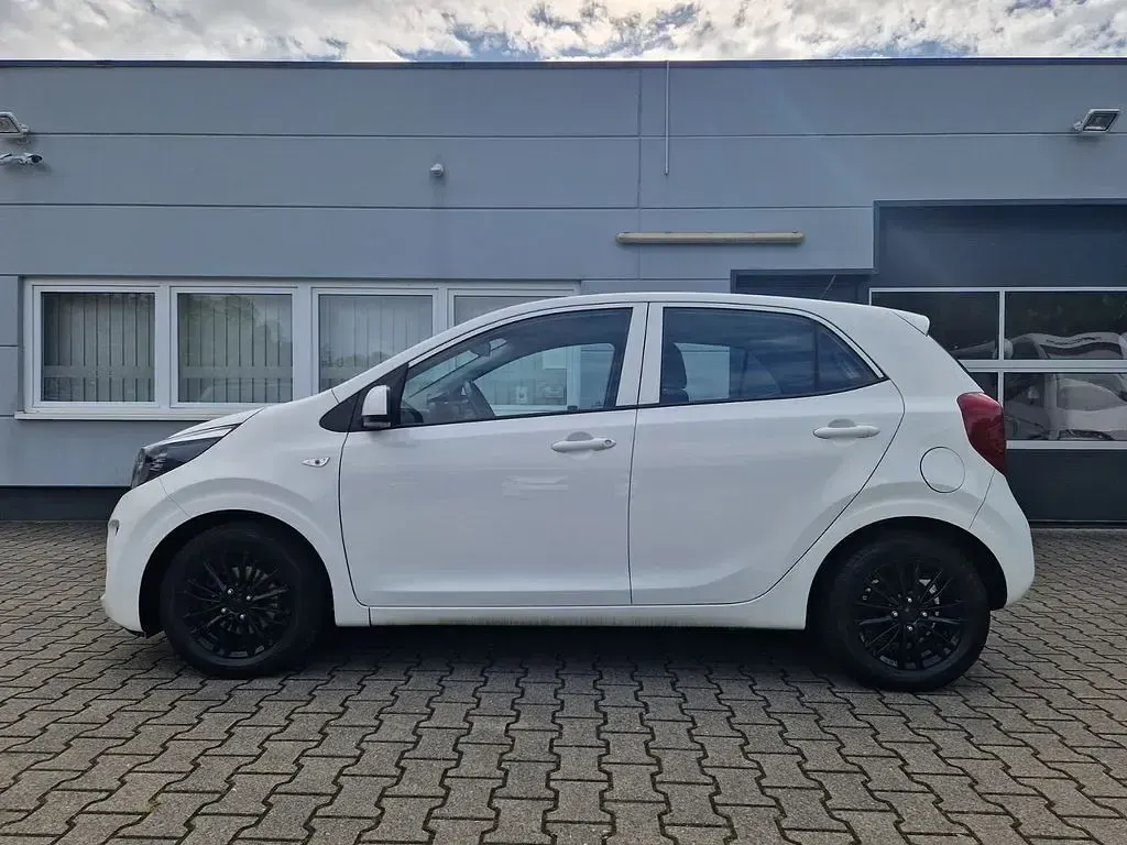 Gebraucht Kia Picanto Edition 7 84 PS (61 kW) 2019 Weiß Kleinwagen
