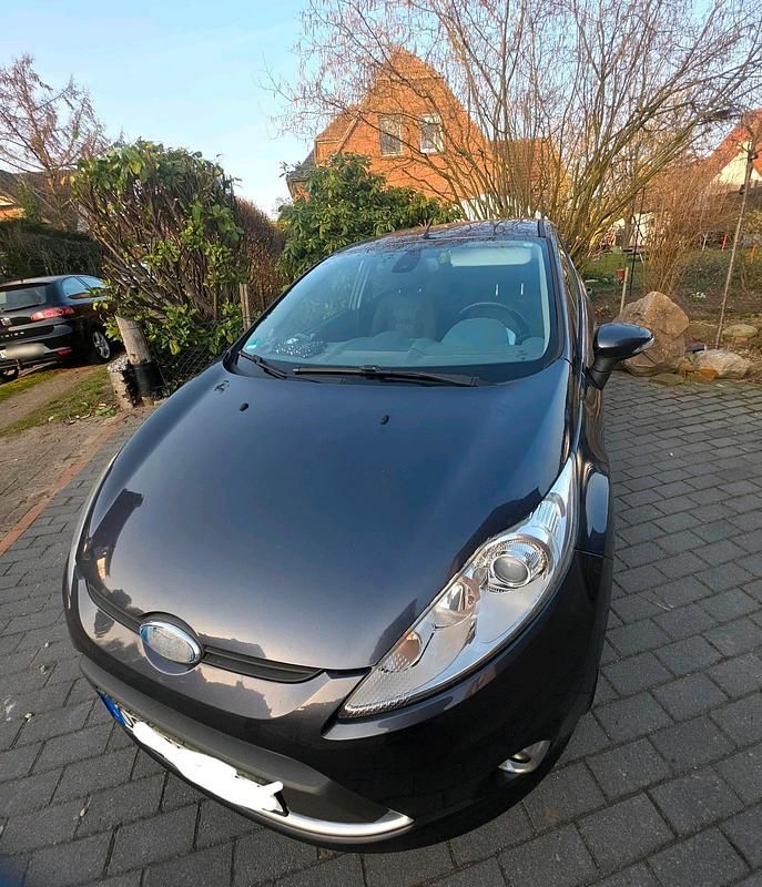 Gebraucht Ford Fiesta Titanium 82 PS (60 kW) 2009 Grau Kleinwagen