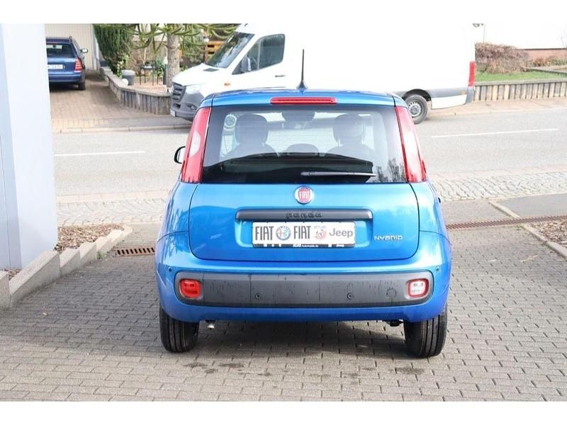 Neu Fiat Panda Icon 65 PS (47 kW) 2026 Blau Kleinwagen