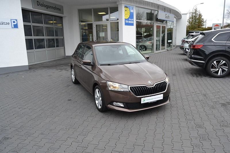 Gebraucht Skoda Fabia Active 95 PS (69 kW) 2021 Braun Kleinwagen