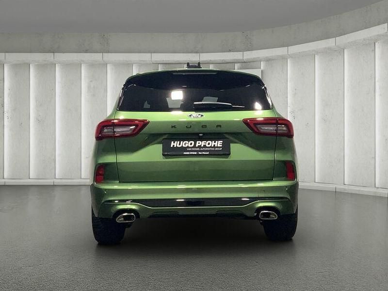 Gebraucht Ford Kuga ST-Line X 186 PS (136 kW) 2024 Bursting green SUV