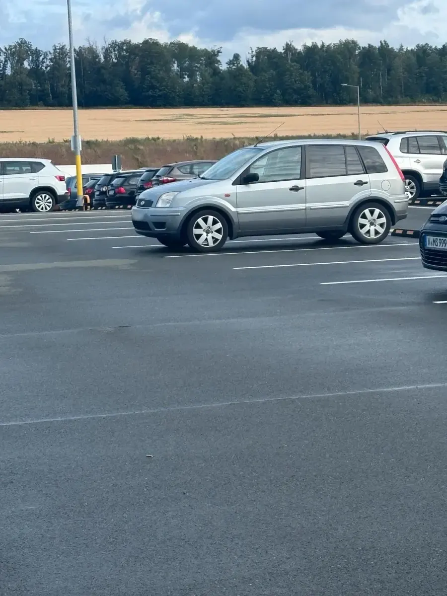 Gebraucht Ford Fusion 80 PS (58 kW) 2004 Silber Kleinwagen