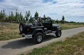 Gebraucht Jeep Wrangler 178 PS (130 kW) 1991 Schwarz SUV
