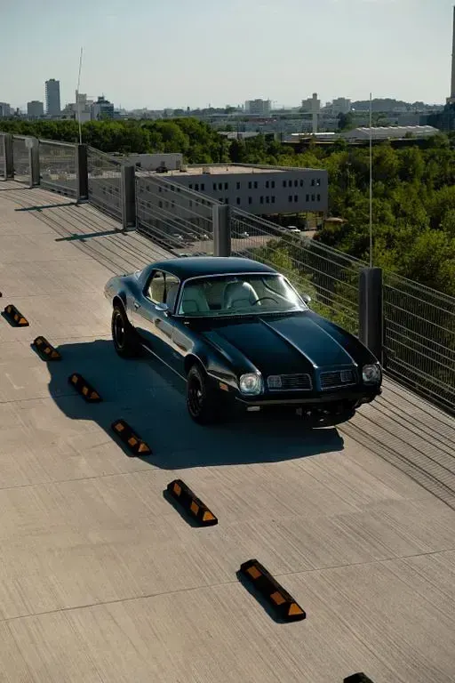 Gebraucht Pontiac Firebird 224 PS (164 kW) 1975 Schwarz Coupé