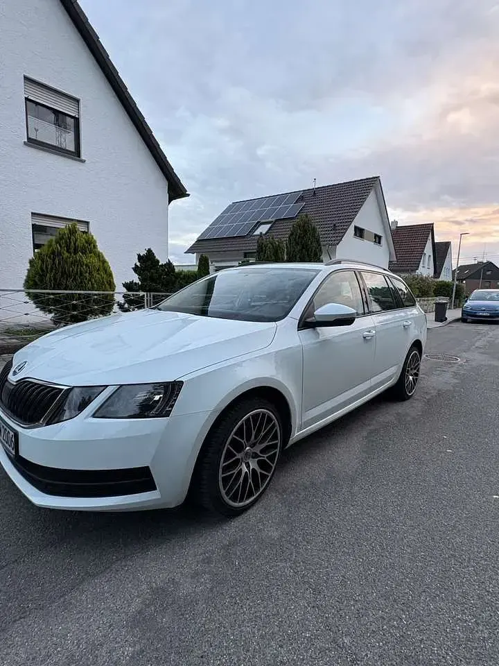 Gebraucht Skoda Octavia Active 86 PS (63 kW) 2017 Weiß Kombi