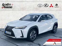 Lexus UX 300e