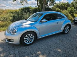 VW Beetle