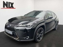 Lexus UX 250h