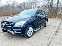 Mercedes ML250