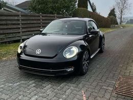 VW Beetle