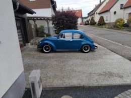 VW Käfer