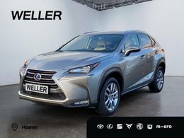 Lexus NX300h