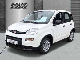 Fiat Panda Cross