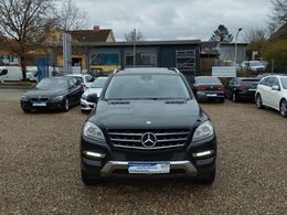 Mercedes ML250